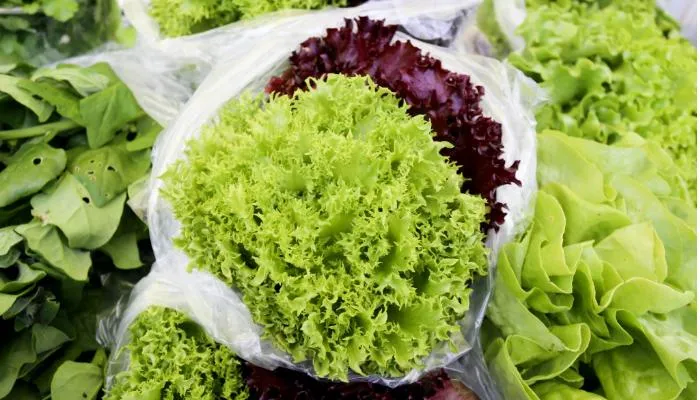 Produtos da Feira de Maringá